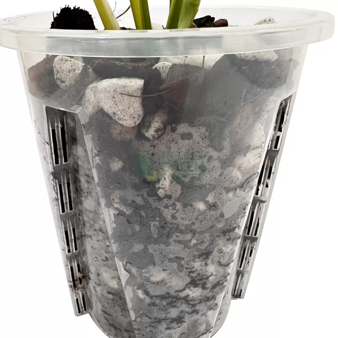 Best Sale Anti-Spiral Transparent Plastic Pot 12Cm Transparent Pots