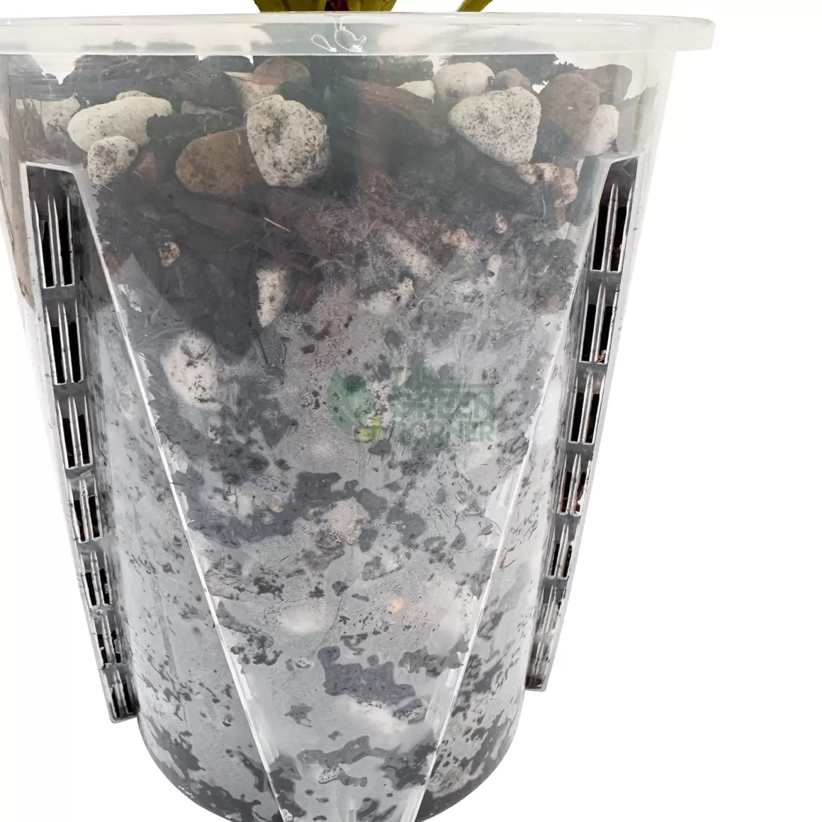 Best Sale Anti-Spiral Transparent Plastic Pot 16Cm Transparent Pots