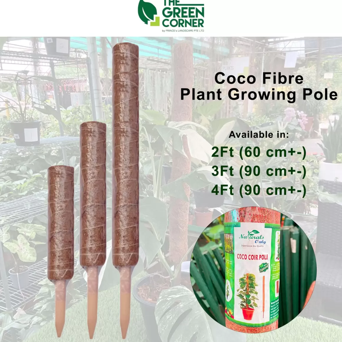 Online Coco Fibre Plant Growing Pole Growing Poles