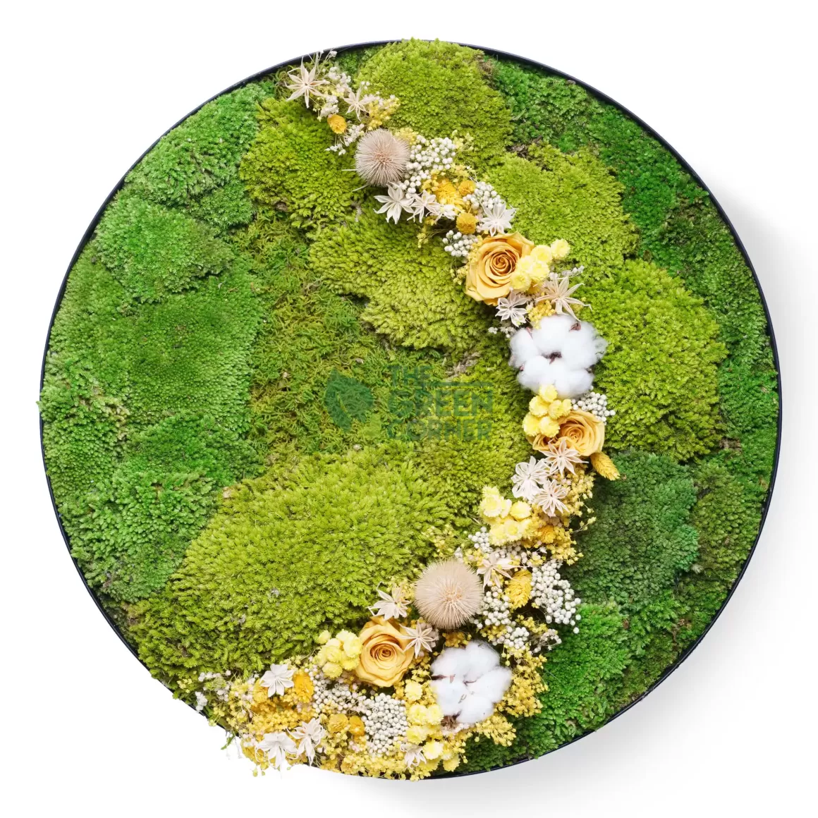 Store Hillside Blooms | Way Up High Collection Moss Frames