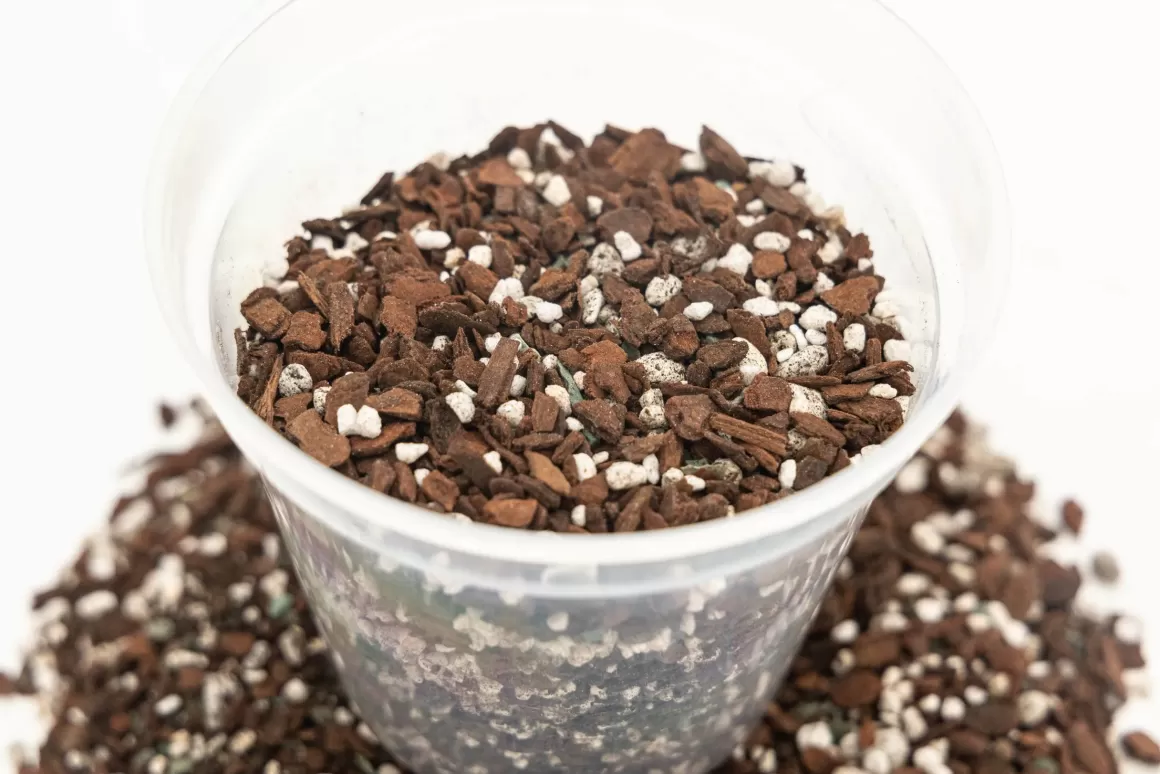 Cheap Aroid Mix Soil Mix