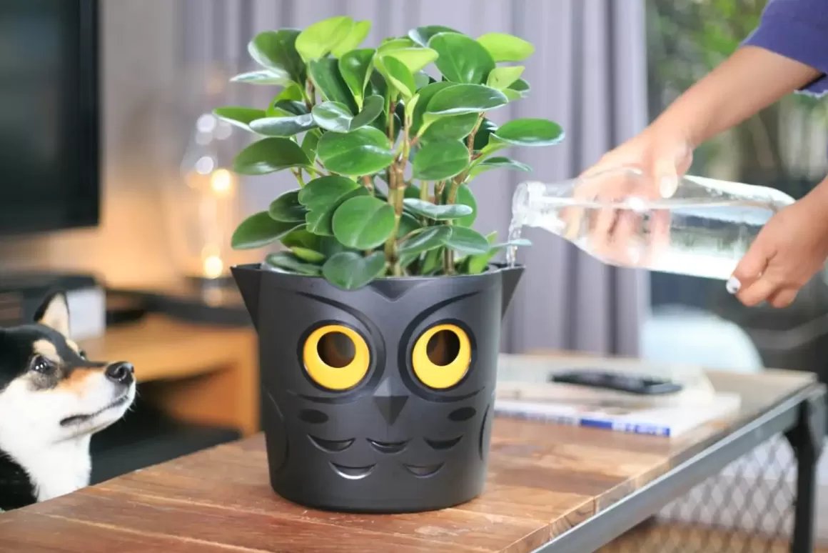 Outlet Ogl Self Watering Pot Owl Self Watering Pots