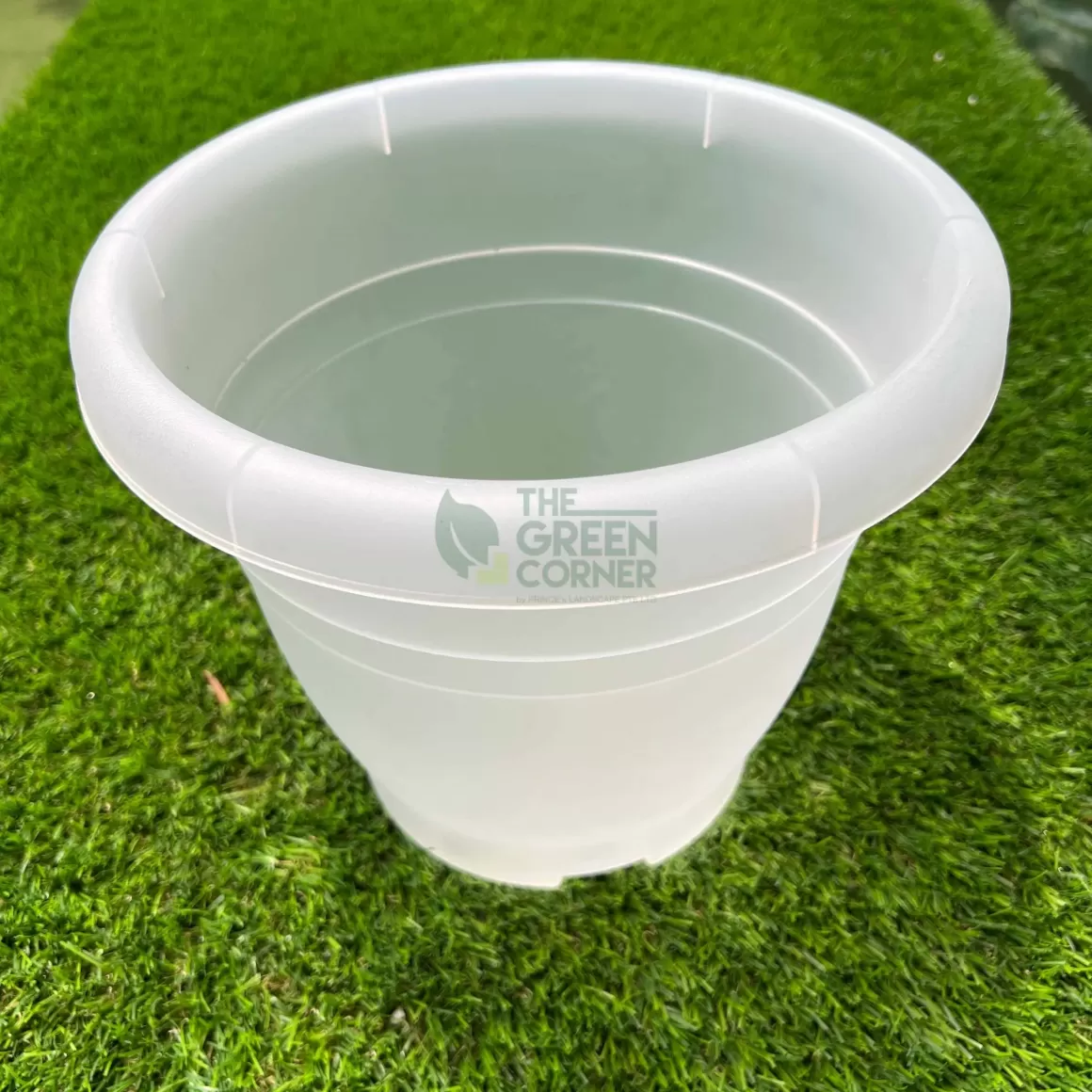 New Transparent Pot (260Mm) Octo Transparent Pots